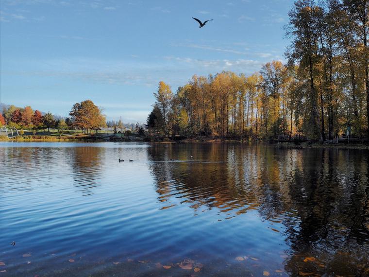 An autumn lake in a Coquitlam park