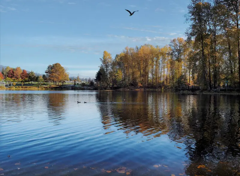 An autumn lake in a Coquitlam park
