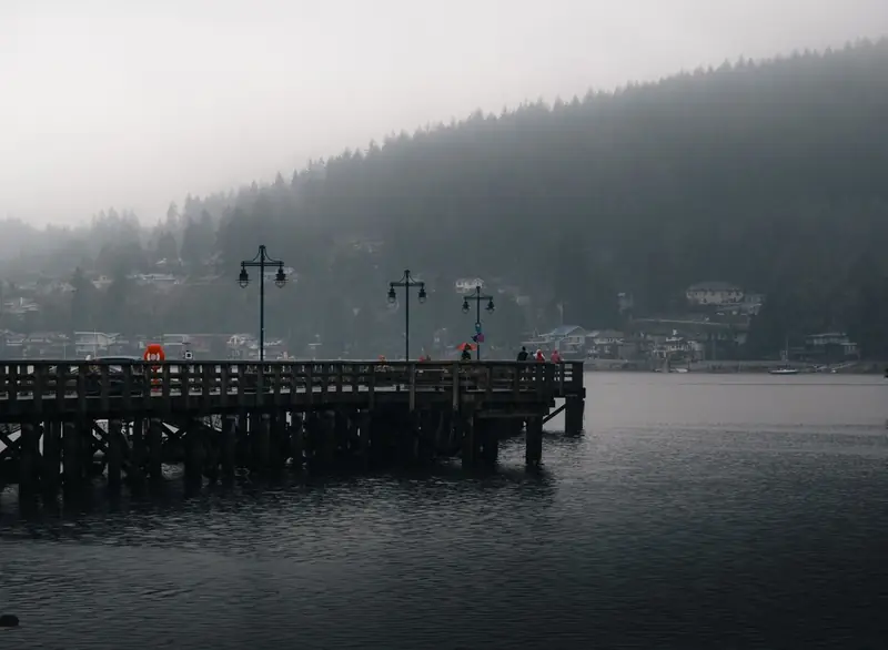 A misty pier along Port Moody's inlet with the forested hillside behind it
